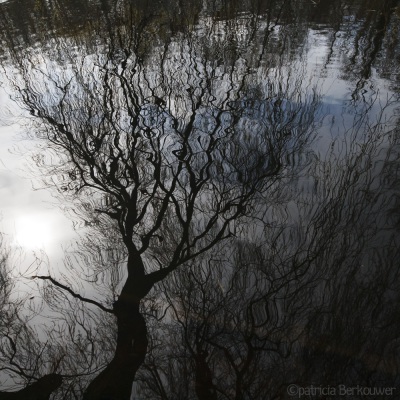 2009-03-28 Leidse Hout 157 (raw) (klein)