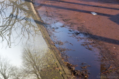 2019-12-27 005 Oegstgeest (raw) (klein)