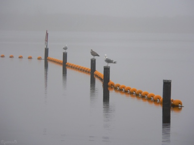 2006-02-25-klinkenbergerplas