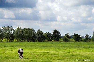 2009-07-25 Bij Oudewater 01 (edit) (klein)