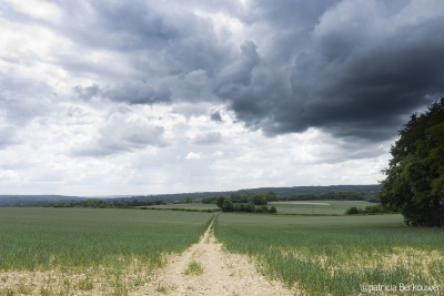 2011-05-31 15 Chalk Pit Wood (edit) (klein)