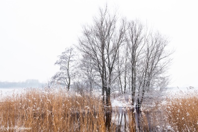 2017-02-11 004 Klinkenbergerplas in de sneeuw (klein)