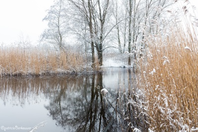 2017-02-11 006 Klinkenbergerplas in de sneeuw (klein)