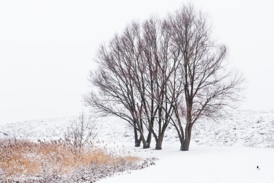 2017-02-11 021 Klinkenbergerplas in de sneeuw (klein)