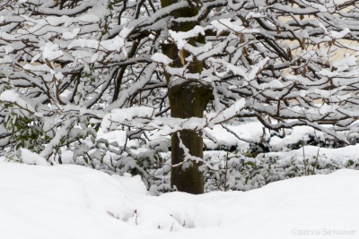 2017-02-12 19 Sneeuw Klinkenbergerplas (raw) (klein)