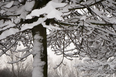 2017-02-12 22 Sneeuw Klinkenbergerplas (raw) (klein)