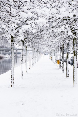 2017_02 _ 2017-02-12 21 Sneeuw Klinkenbergerplas (raw) (klein)