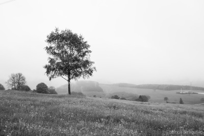 2019-05-17 001 Ardennen - Promenade des Hameaux (Brume) (raw2) (klein)