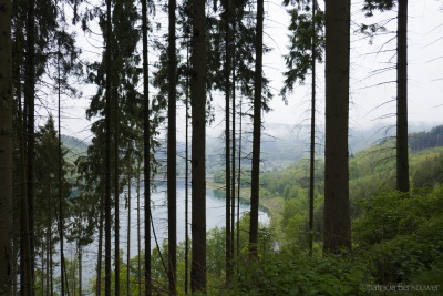 2019-05-17 003 Ardennen - Promenade des Hameaux (Coo, bassin inférieur) (raw) (klein)