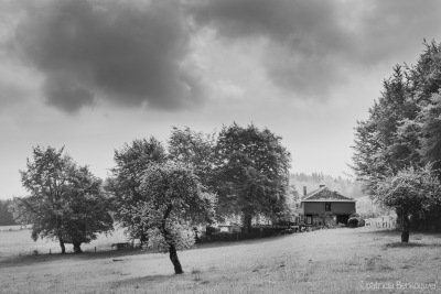 2019-05-18 001 Ardennen - La Croix-Collin (promenade) (Butay) (raw) (klein)