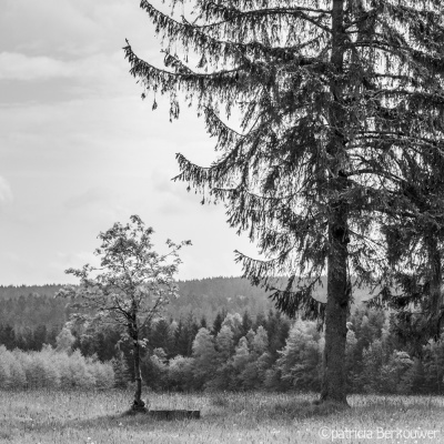 2019-05-18 006 Ardennen - La Croix-Collin (promenade) (Au grand chemin) (raw2) (klein)