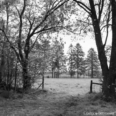 2019-05-18 007 Ardennen - La Croix-Collin (promenade) (Au grand chemin) (raw) (klein)