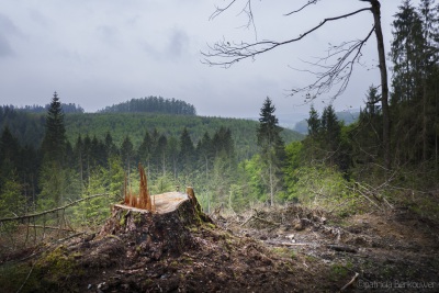 2019-05-19 004 Ardennen - Promenade des Ânes (raw) (klein)