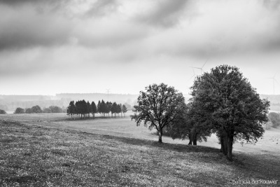 2019-05-19 011 Ardennen - Promenade des Ânes (Sur le Va) (raw) (klein)