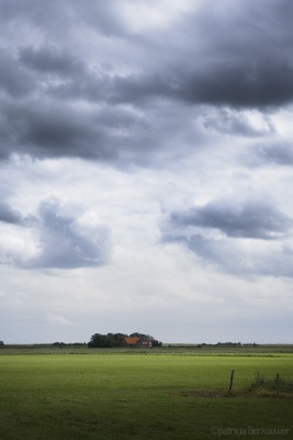 2020-07-19 017 Texel (raw) (klein)