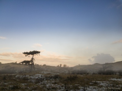 2020-12-31 012 Kennemerduinen (raw) (klein)