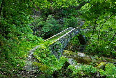 2018-05-19 016 Ponte Romano bij Aurigeno (Maggia) (klein2)