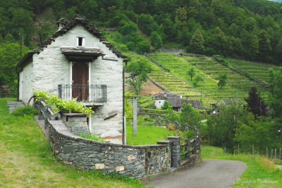 2018-05-21 034 Lodano (Maggia) (klein2)