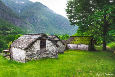 2018-05-21 046 Dal' Ovi (Maggia) (klein2)