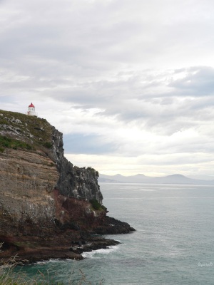 20050305 New-Zealand-P1010593-Taiaroa-Head