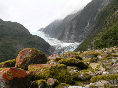 20050311 New-Zealand-P1020125-Franz-Josef-glacier-valley-walk