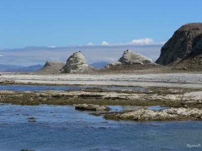 20050315 New-Zealand-P1020396-Kaikoura-shoreline-walk