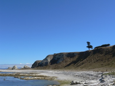 20050315 New-Zealand-P1020398-Kaikoura-shoreline-walk