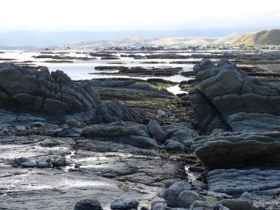 20050315 New-Zealand-P1020446-Kaikoura-shoreline-walk