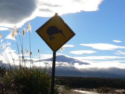 20050318 New-Zealand-P1020526-SH47-Mount-Ngauruhoe-kiwi-bord-selection