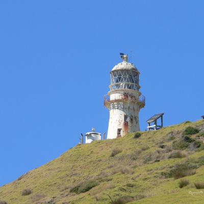 20050322 New-Zealand-P1020773-Bay-of-Islands-crop