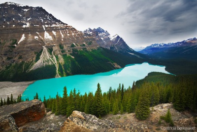 2007-07-08 -07- Peyto Lake 17 copy (klein) - Canada