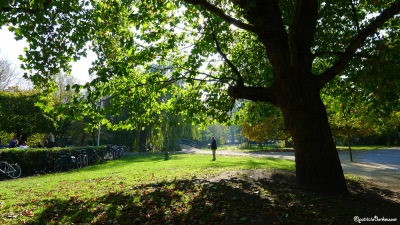 2 2011-10-23-310-Amsterdam-Vondelpark (unedited)