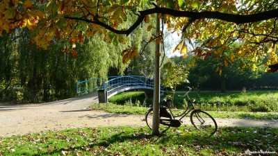 2 2011-10-23-316-Amsterdam-Vondelpark (unedited)