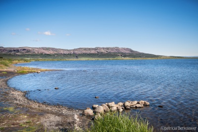 2 2013-08-12 037 Suðurland - Laugarvatn (Ísland)