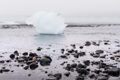 2 2013-08-14 061 Austurland - Jökulsárlón (2) (Ísland)