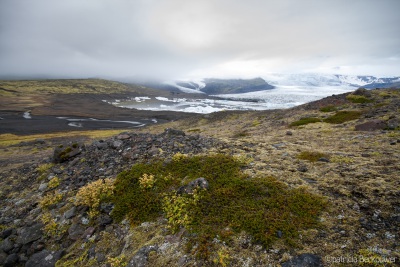 2 2013-08-14 124 Austurland - Fjallsárlón (Ísland)