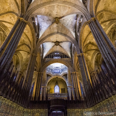 2014-04-07 192 Barcelona - Catedral (raw) (klein)