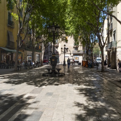 2014-04-09 134 Barcelona - Plaça de Sant Agustí Vell (raw) (klein)