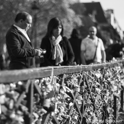 2014-04-10 074 Paris - Parc de Notre Dame, Pont de l'Archevêché (raw) (klein)