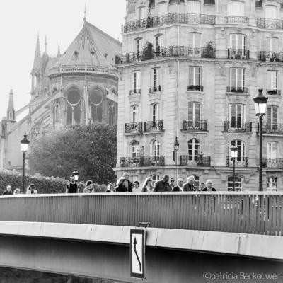 2014-04-10 081 Paris - Pont Saint-Louis (raw2) (klein)