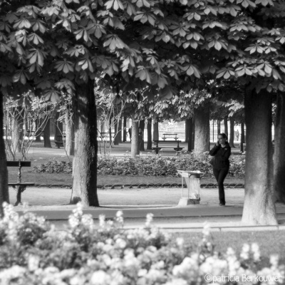 2014-04-11 010 Paris - Jardin du Luxembourg (raw) (klein)