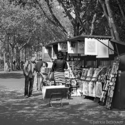 2014-04-11 064 Paris - Quai Malaquais (raw2 crop) (klein)