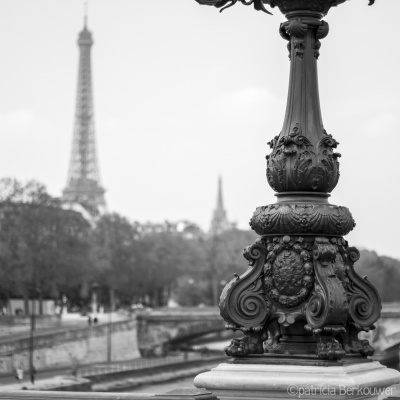 2014-04-11 092 Paris - Pont Alexandre III, Tour Eiffel (raw) (klein)