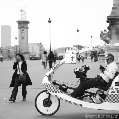 2014-04-11 095 Paris - Pont Alexandre III (raw) (klein)