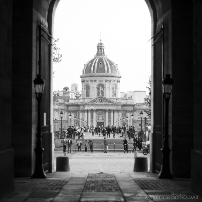 2014-04-11 163 Paris - Louvre, Pont des Arts, Canal Académie (raw) (klein)