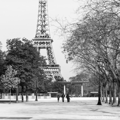2014-04-12 020 Paris - Champ de Mars, Tour Eiffel (raw2) (klein)