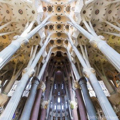 2014-04-07 099 Barcelona - Temple de la Sagrada Família (raw2) (klein)
