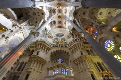 2014-04-07 141 Barcelona - Temple de la Sagrada Família (raw) (klein)
