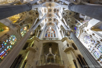 2014-04-07 154 Barcelona - Temple de la Sagrada Família (raw) (klein)