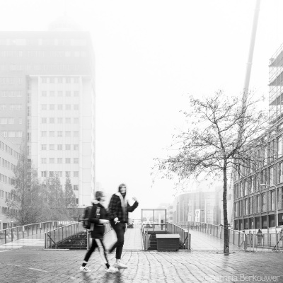 2019-11-25 016 Leiden (Station, Steenstraat, Beestenmarkt) (klein)